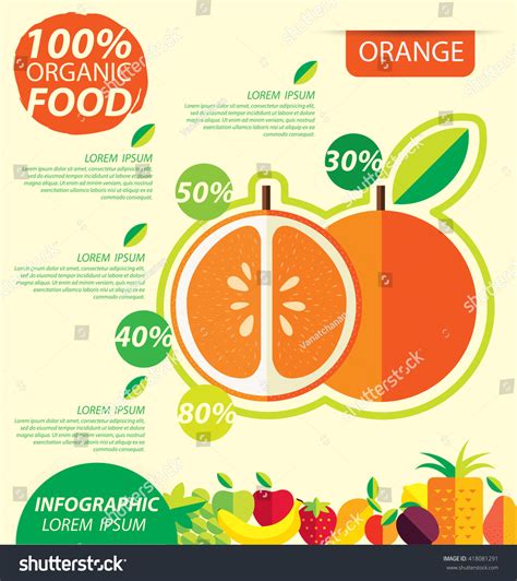 Orange Fruit Infographic Template Vector Illustration Stock Vector