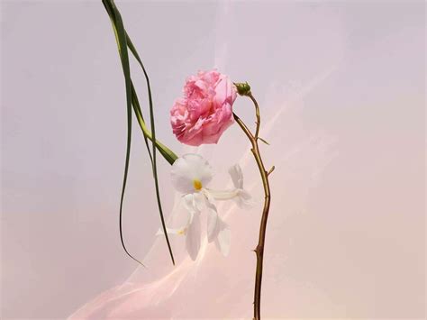 Spell On You by Louis Vuitton » Reviews & Perfume Facts