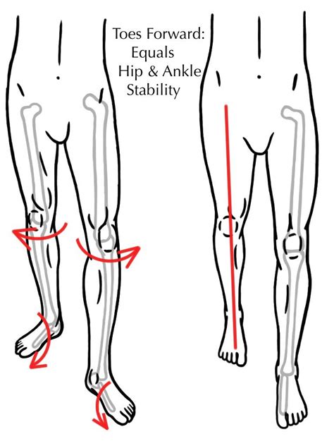 Alignment Form Equals Function Prehab Exercises In Hip