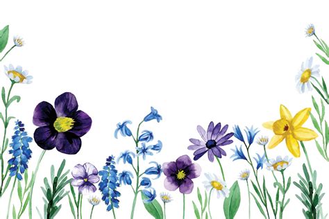 Watercolor Drawing With Cute Wildflowers Seamless Border Spring