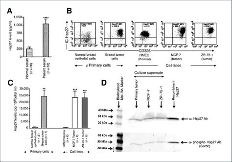 Elevated Serum Hsp Levels In Breast Cancer Patients And Increased