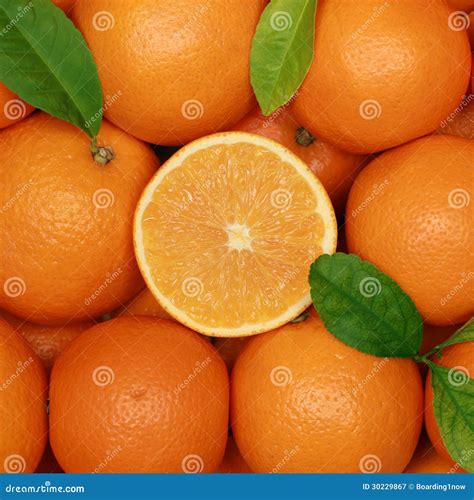 Group Of Oranges With Leaves Stock Image Image Of Fruits Organic