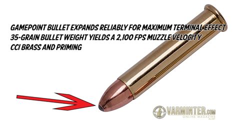 New Savage A22 Magnum Rifle and Ammunition | Varminter Magazine