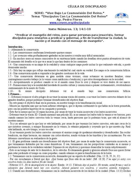 PDF 5 Discípulos Con La Cosmovisión Del Reino DOKUMEN TIPS