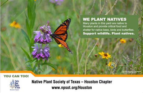 Go Native! - Native Plant Society of Texas