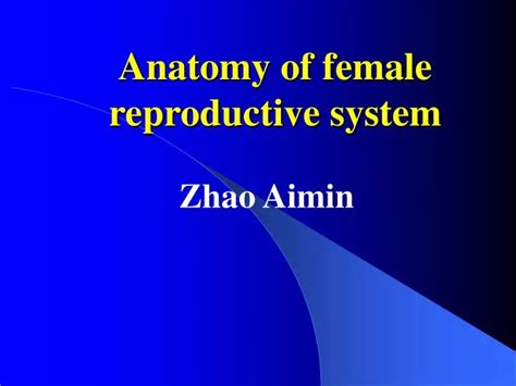 Ppt Anatomy Of Female Reproductive System Powerpoint Presentation