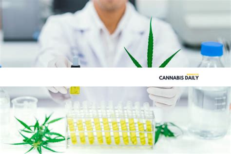 Cannabis Testing Labs In Florida Under Fire