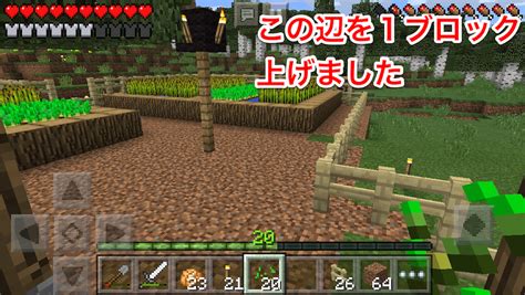 マイクラ日記 その12 村の整備と家づくり準備 マインクラフト日記 お父さんクラフター Jp