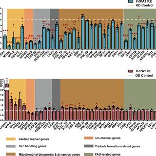 Trpa Improved The Expression Of Genes Related To The Function And