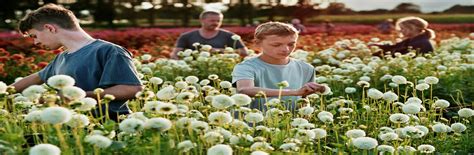 close film  dreamingcinema