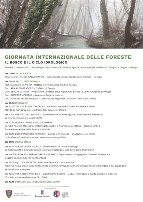 Giornata Internazionale Delle Foreste Il Bosco E Il Ciclo Idrologico