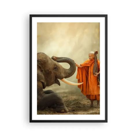 Affiche Poster X Cm Tableaux Image Photo L Phant Moine D Fense Wall