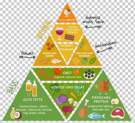 Paleolithic Diet Food Pyramid Health Eating PNG, Clipart, Beslenme, Brand, Diagram, Diet, Eating ...