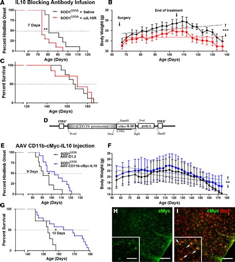 Figure 6 From IL 10 Controls Early Microglial Phenotypes And Disease