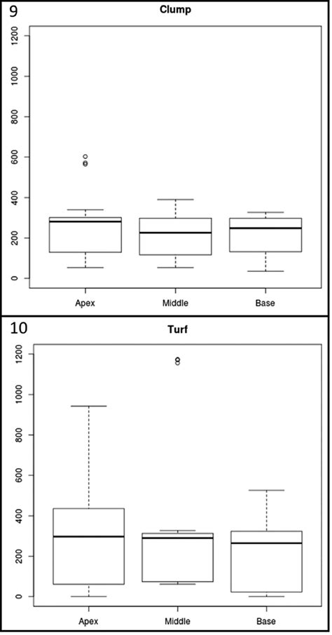 Boxplot Showing The Difference Of The Total Diatom Abundance In The