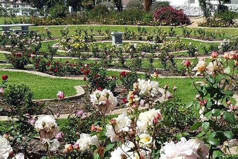 15 Best Gardens In Cape Town To Visit | Mr. Pocu Blog