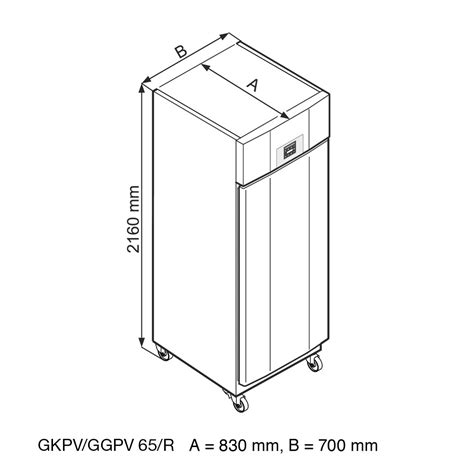 Liebherr Armoire Négative GN2 1 Cuve Inox Emboutie Avec Roulettes