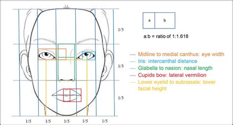 Facial Anthropometric Norms of the Young Black South African... : Plastic and Reconstructive ...