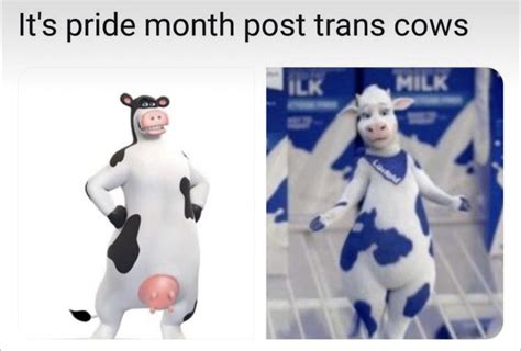 Trans Cow Time R Lgbtmemes