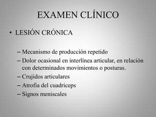 Fisioterapia en patología meniscal PPT