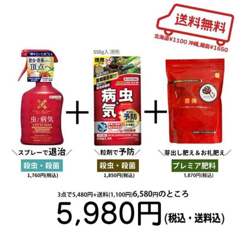 ベニカxガード粒剤 550gx3袋セット 殺虫 殺菌剤 殺虫剤 園芸 病気の予防に まくだけ