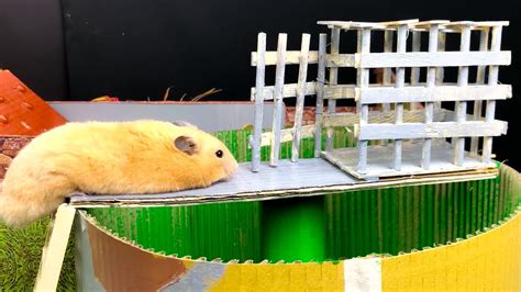 Maze For Pets Hamster Jail Obstacle Course Hamster Escape Maze