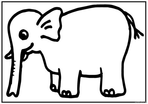 Eddie Elephant Coloring Pages - Learny Kids