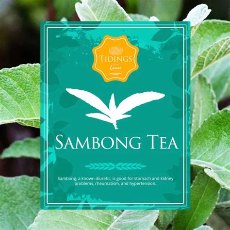 Tidings Herbal Tea Sambong Tea 10 Tea Bags Lazada PH