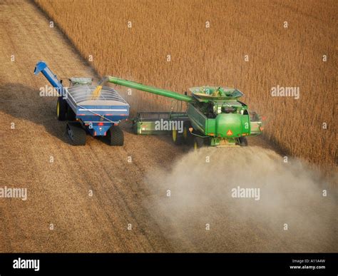 Farmer harvesting soybeans Stock Photo - Alamy