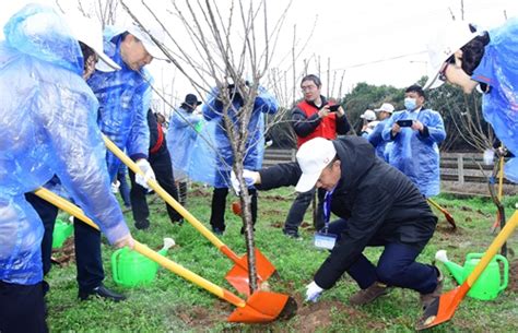 植树插花 省台联“两岸姊妹情”女台胞活动精彩纷呈 要闻 全国台联 台胞之家