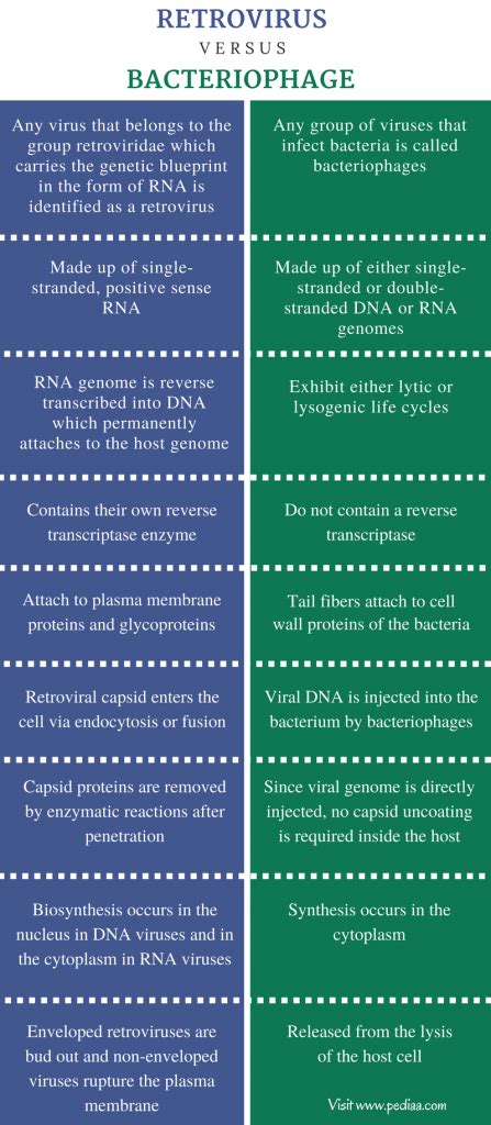 Difference Between Retrovirus and Bacteriophage | Definition, Characteristics, Features, Examples