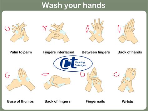 Who Hand Washing Technique