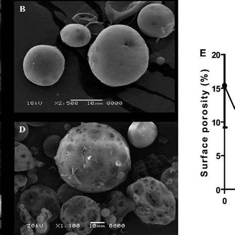 Scanning Electron Micrographs Of A Porous Plga Mps B Cs Plga Mps Download Scientific