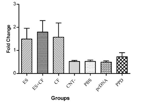 Fold change ΔΔCT of IL 10 expression in different treated groups