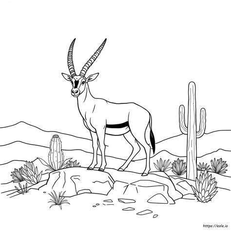 Oryx Coloring Pages