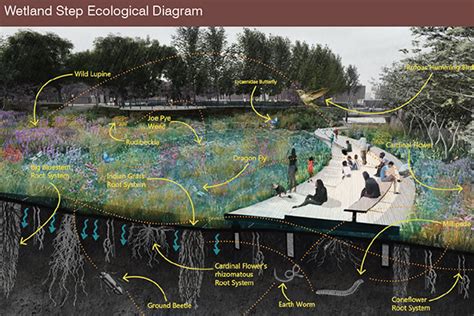 College of Architecture & the Built Environment