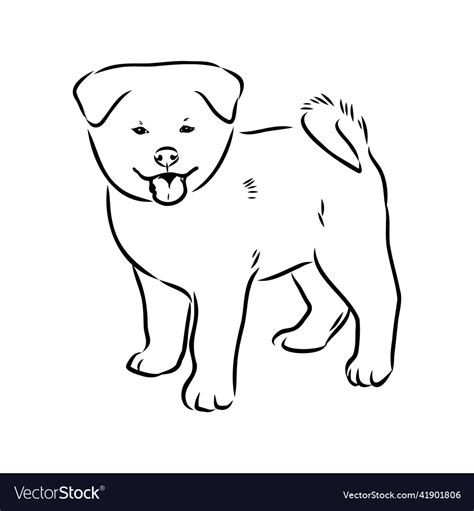 Akita dog face - isolated inu Royalty Free Vector Image