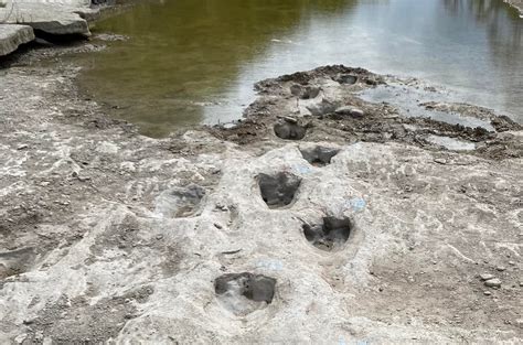 Texas Drought Uncovers Dinosaur Footprints From Million Years Ago