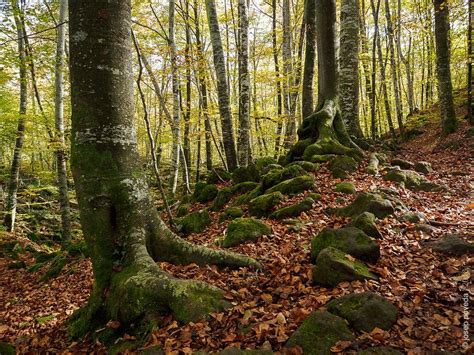 Excursiones en el Pirineo de Girona Somrurals Recursos turísticos