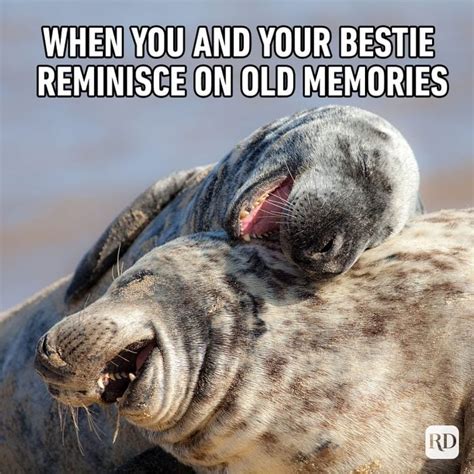 25 Funny Friend Memes To Send To Your Bestie Reader S Digest