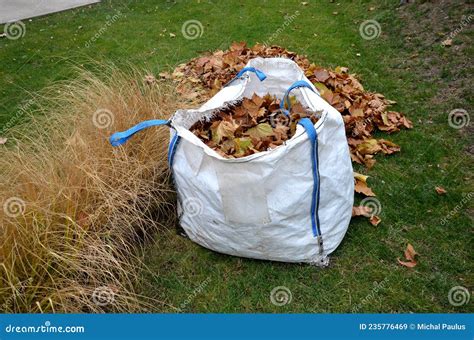 Raking Leaves on Piles. the Leaves are Taken To a Composting Plant or To a Community Composter ...