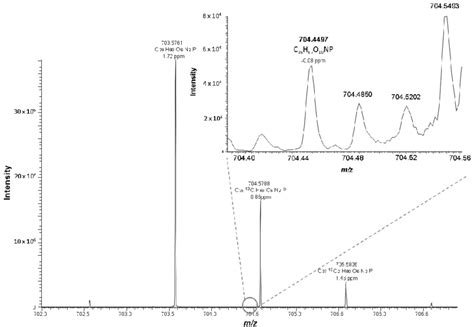 Positive Esi Mass Spectrum Of Oxidized Ldl At The Retention Time 1138