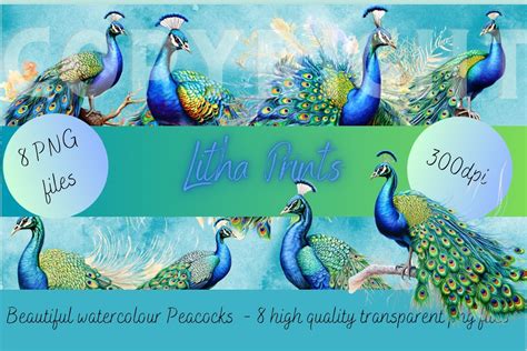 Watercolour Peacocks Graphic By Litha Prints Creative Fabrica