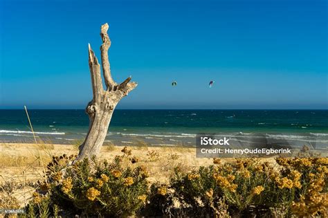 Tavira Beach Stock Photo - Download Image Now - Algarve, Atlantic Ocean ...