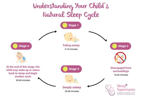 Decoding Baby Sleep: A Scientific Exploration of Baby Sleep Cycles and ...