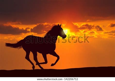 Horse Running Under Sunset Stock Illustration 142206712