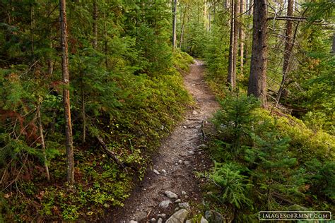 Long Hikes in Rocky Mountain National Park | Rocky Mountain National Park