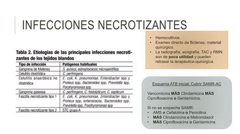 Infecciones De La Piel Y Partes Blandas 2016 Ppt