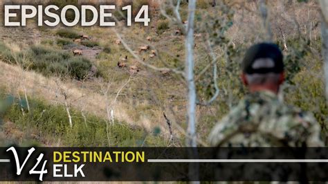 Bugling Bulls In Every Direction Episode Destination Elk V Youtube