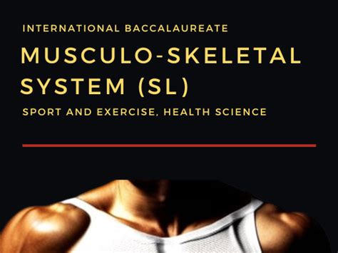 Ib Sehs Sl Topic Musculoskeletal System Revision Guide